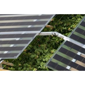 1 Kw Off Grid Solar Panel Flat Roof Mounting System With Pro Inverter