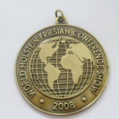 Copper / zinc alloy OEM / ODM Custom Made Emblems with lanyard