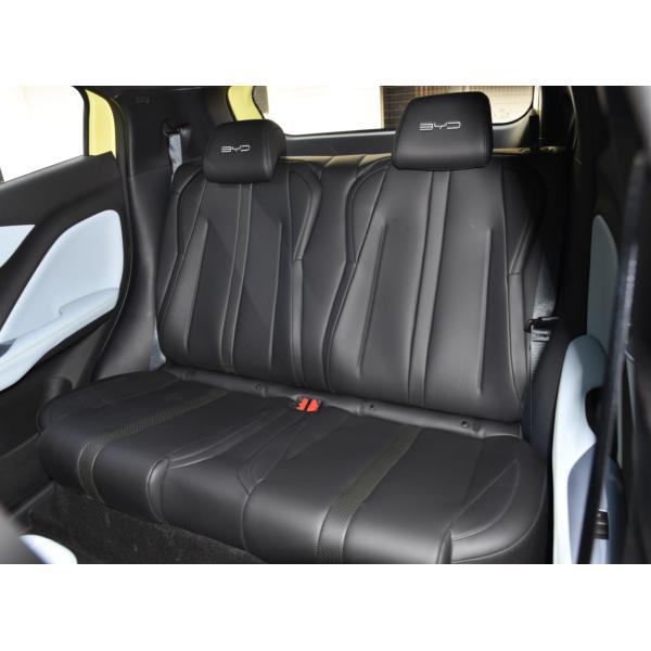 5 Seats BYD EV Car Sea Gull Electric Vehicle with Multiple Interior Features Clean Energy