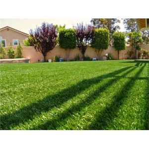 Chinese Synthetic Grass Carpet Indoor Garden Carpet Grass Artificial Turf Grass