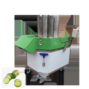 Fruit Or Vegetable Cutting Machine Tomato Processing Equipment 220V