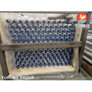 ASTM A179 Carbon Steel Extruded Fin Tube Exchanger Tube ECT /HT