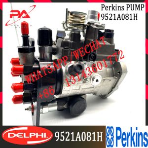 China Diesel Fuel Injector Pump 9521A080h 9521A081h for Perkins 6 Cylinder 4493641 on sale