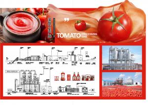 Cheap SS304 Small Scale Ketchup Tomato Paste Production Line Customized Size Easy Operation for sale