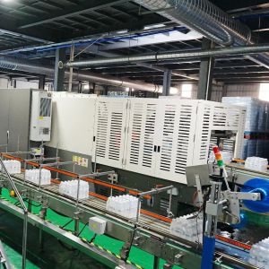 Single Double Layer Stacking Half Tray and Film Shrink Wrapper Packing Machine