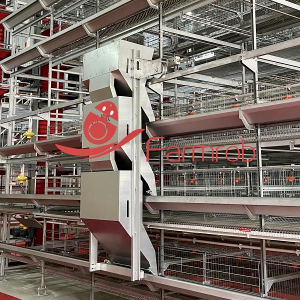 Quality Multi Tier Automatic Poultry Feeding System H Type For Layer Battery Cage wholesale