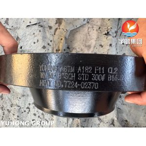 ASTM A182 F11 Cl2 Weld Neck Flange Essential Component for Safe and Operation in