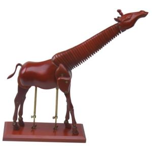 China Education Usage Artist Wooden Manikin Giraffe Type Fully Poseable Mannequin on sale
