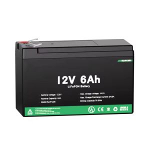 Anti-Vibration Lifepo4 Lithium Ion Iron Phosphate Battery Camping RV Marine