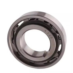 AS8 TSS8 NSS8 Backstop Clutch One Way Freewheel Bearing