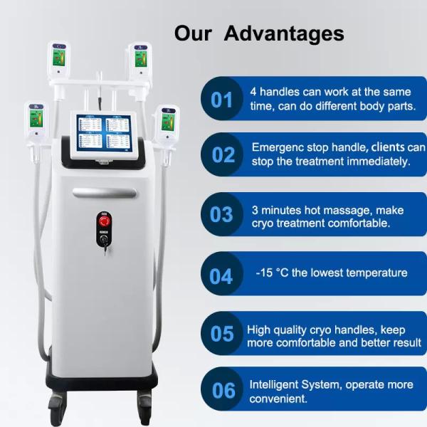Professional Fat Freezing Cryolipolysis Machine Slimming Weight Loss Fat Reduction