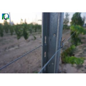 Galvanised 50x40MM Vineyard Trellis Posts For Big Wine Garden