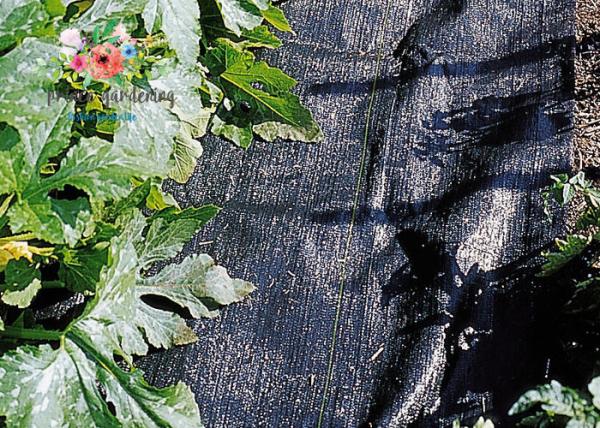 Quality Black Garden Plant Accessories - Tear Proof Weed Block Fabric / Weed Control Fabric wholesale