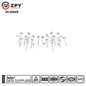 ZPY Engine Intake Valve for Audi A4 Avant B8 059109601G