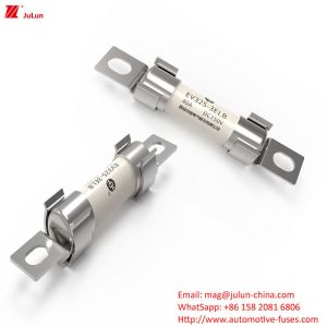 750V EV Fuse Charge Protected 3 Phase Size 3 Fuse Holder For Cars