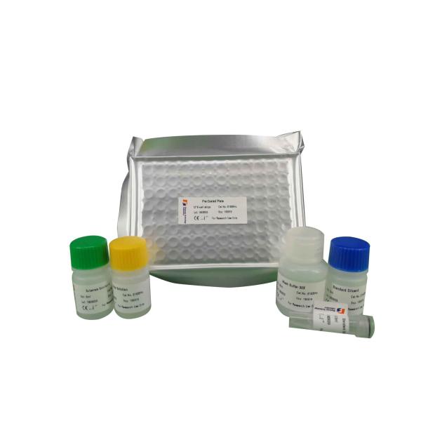 Strong Specificity Mouse Cathelicidin Antimicrobial Peptide CAMP LL-37 ELISA Kit