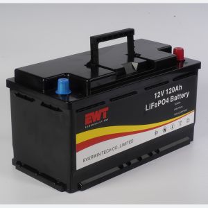 CC/CP/VP Discharge Way 48V Lithium Iron Phosphate Battery with LFP Anode