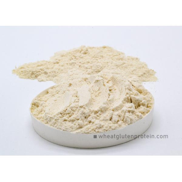 Quality Physical Extraction Wheat Gluten Powder For Bread and Baking Food wholesale