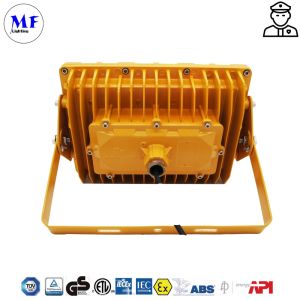 IP66 IK10 Waterproof Dust-proof Explosion Proof Flood Light For Heavy Industry