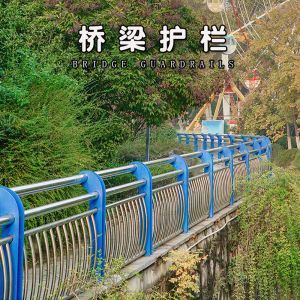 Hot Dipped Galvanized Stainless Steel Q235 Q345 Bridge Guardrails