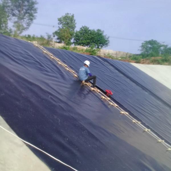 1m-8m Width 0.3mm-3.0mm Thickness HDPE Geomembrane Lining for Reinforced Pond