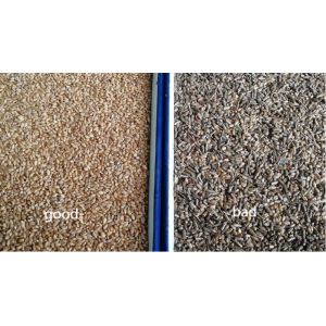 Mini Oats Barley Buckweat Wheat Color Sorter Machine With High Performance