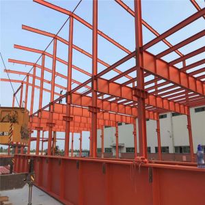 Prefabricated Steel Structure Factory Building Low Maintenance Metal Structure