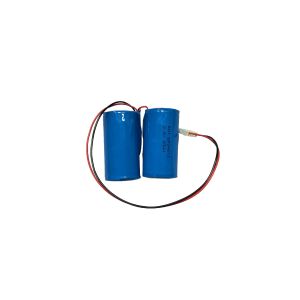 ER34615 3.6v 38ah Long-Lasting Lithium Thionyl Chloride Battery For Industrial