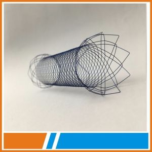Medical TTS Esophageal Stent With Delivery System with CE and ISO certificate
