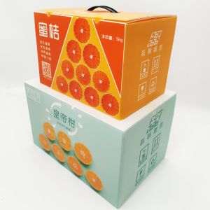 Packaging Corrugated Plastic Storage Boxes With Handle 6000N/M