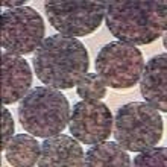 5 mL NHS Activated Magnetic Beads Preactivated N - Hydroxy Succinimide