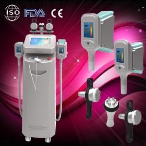 China Hottest cryolipolysis for beauty salon use / cryolipolysis anti cellulite machine on sale