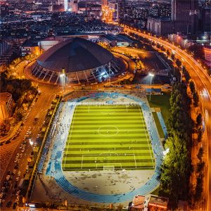 Synthetic Flooring Outdoor Sports Surfaces Multi Purpose