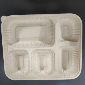 Wholesale 5 Compartments Environmentally Friendly Rice Husk Starch Based