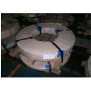 China Cold Rolled Stainless Steel Slit Coil , Grade 409L Steel Strip For Auto Exhaust Pipe on sale