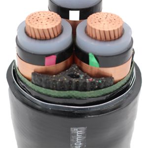 Xlpe Insulation Material 1core 2core 3core Electric Power Cable with CCC