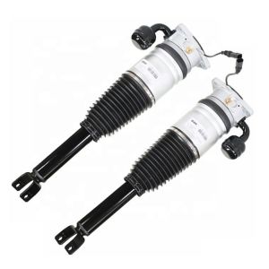Air Ride Suspension Bentley Continental Struts Phaeton Rear 3D0616001J