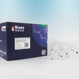 Cheap Protein A Magnetic Beads For Immunoprecipitation By Superparamagnetic Microspheres for sale