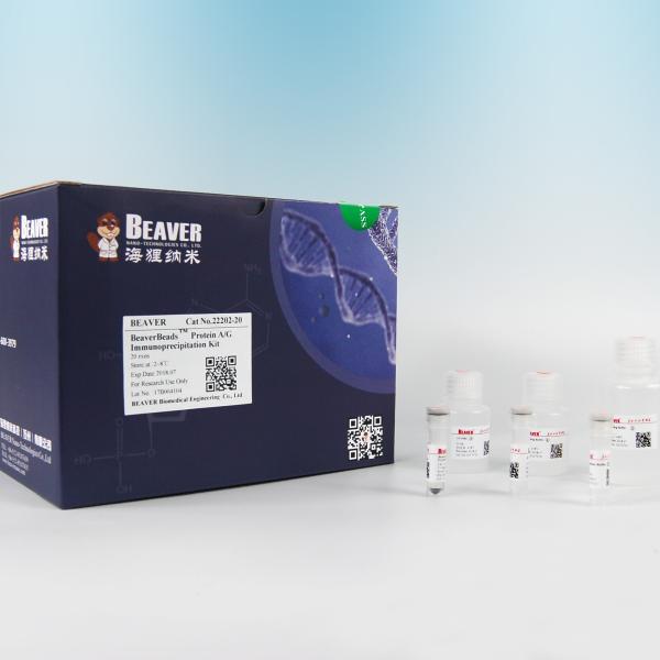 Protein A Magnetic Beads For Immunoprecipitation By Superparamagnetic Microspher