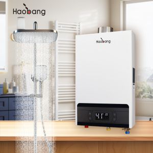 China 530*330*143 Mm Forced Vent Gas Water Heater For Water Flow Rate 2.64 GPM And Easy Maintenance on sale