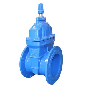 1''-8'' Flange End Stainless Steel 316 Manual Gate Valve with Customized OEM