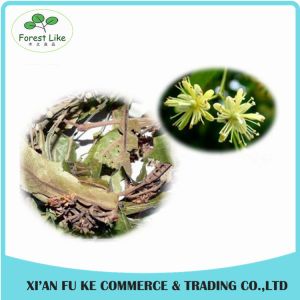 High Quality Lemon Balm (Melissa Officinalis) Extract powder