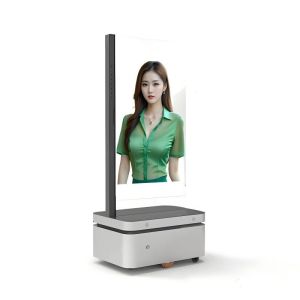 Ultra Thin 4K Resolution Transparent Oled Capacitive Touch Screen With