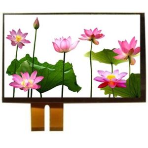 IPS TFT LCD Resistive Touch Screen Panel 6 Inch 720x1440