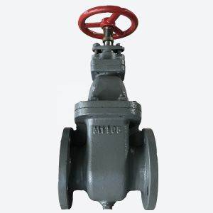 DIN3356 Cast Iron Globe Valve Manual Flanged MSS SP-85 Modle Number