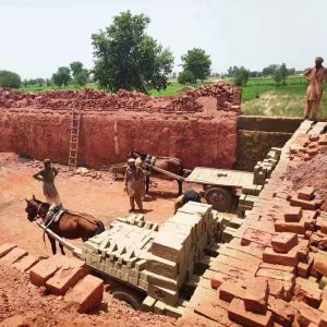 Hoffman Kiln Fly Ash Bricks Manufacturing Machine 28 Gate Or 52 Gate