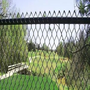 China High Quality Garden Fencing Panel Outdoor PVC Black Vinyl Coated Cyclone Iron Wire Mesh Metal Fence 8 ft Chain Link Fence on sale