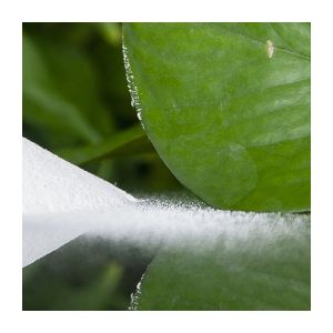 China High Stability PVC Copolymer Resin 1-2 Um Diameter For PVC Coated Products on sale