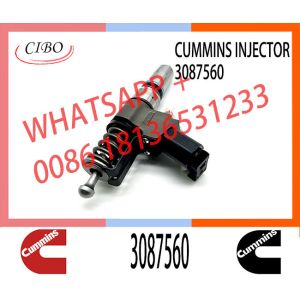 Common Rail Injector Diesel Fuel Injector 3087560 3087733 3083846 For Engine