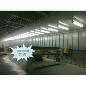 Cheap Server openresty Explosion Proof Fluorescent Light Superior Lighting Solution for Industrial Applications for sale